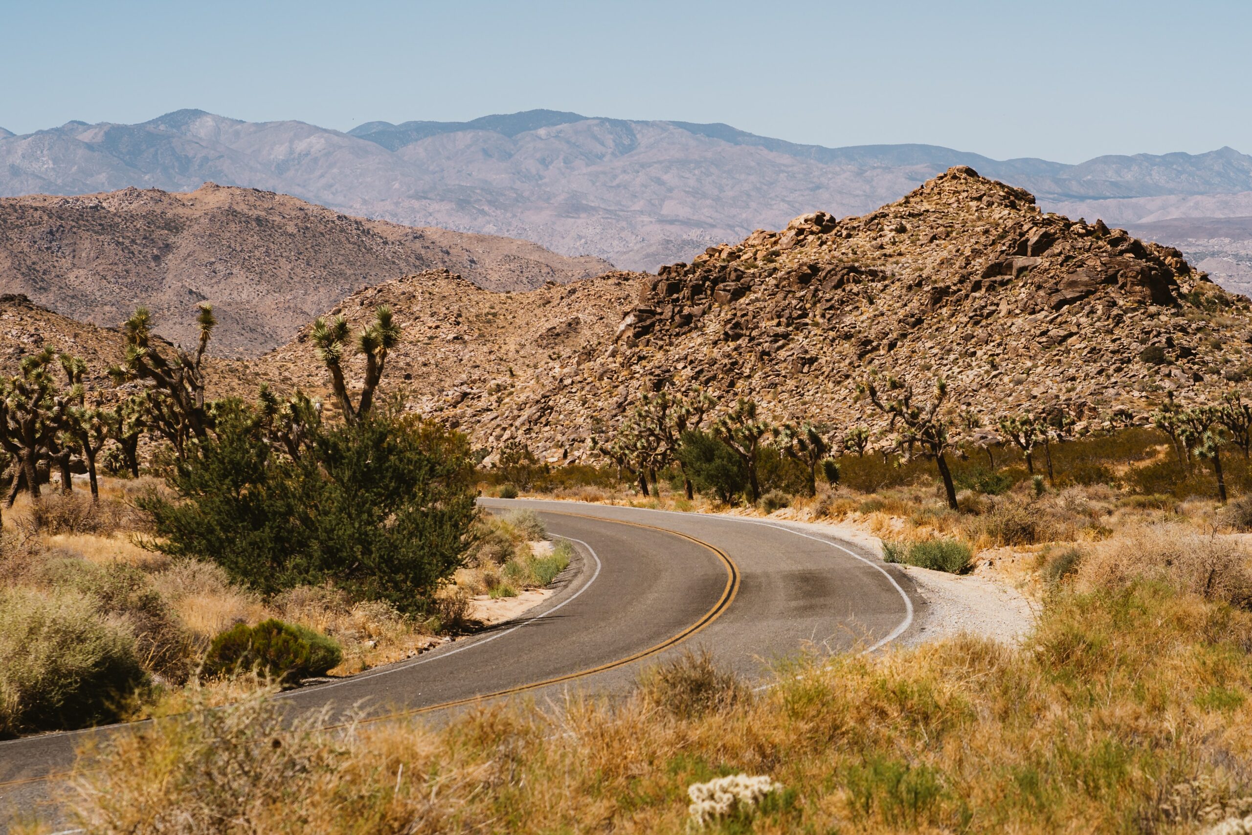 joshua tree trip