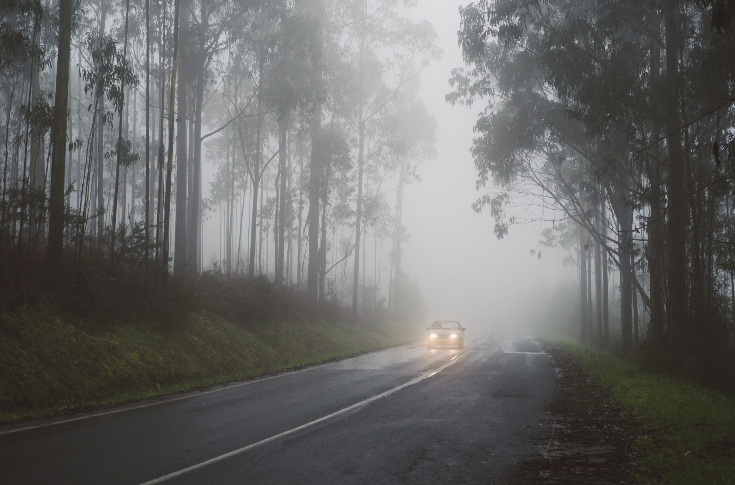 thick Fog , car in back